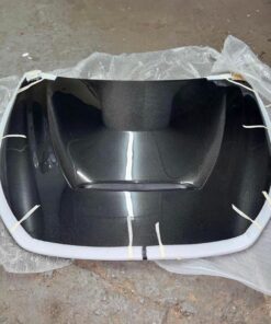 Center Scoop GTR style carbon fiber Hood