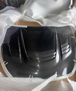 Ram Air Double Sided Carbon Fiber Hood